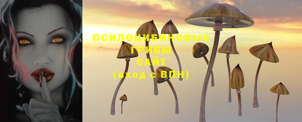 MESCALINE Кукмор