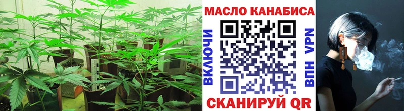 купить наркоту  гидра рабочий сайт  ТГК гашишное масло  Яранск 